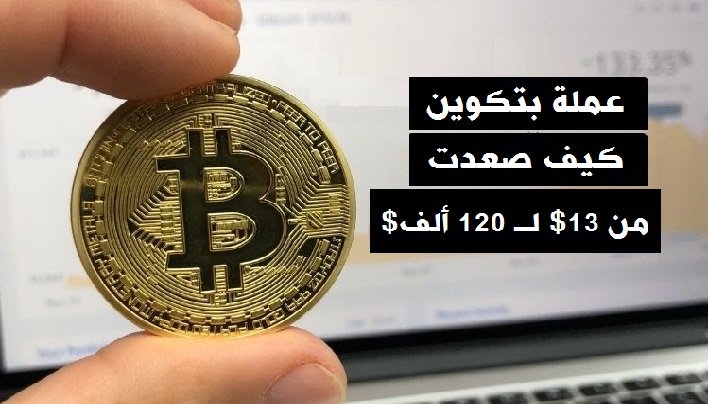 عملة بتكوين كيف صعدت من 13 دولار لـ 120 ألف دولار؟