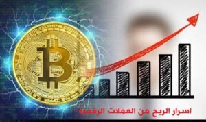 بيتكوين - Bitcoin: اسرار الربح من العملات الرقمية